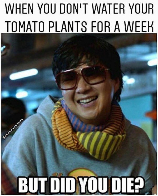 Plant Memes (32 pics)