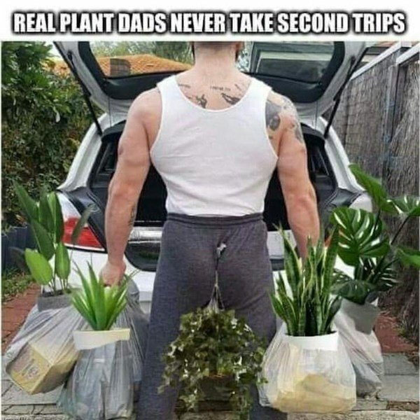 Plant Memes (32 pics)