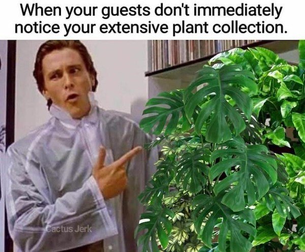 Plant Memes (32 pics)