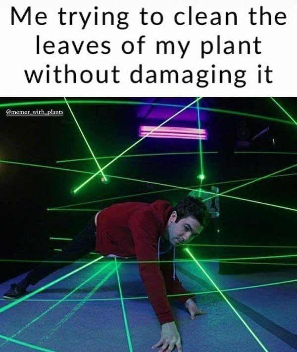 Plant Memes (32 pics)