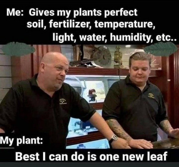 Plant Memes (32 pics)