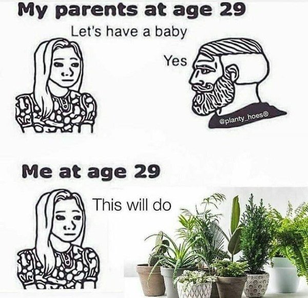 Plant Memes (32 pics)