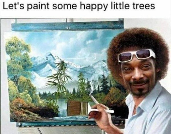 Plant Memes (32 pics)