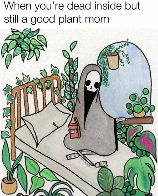 Plant Memes (32 pics)