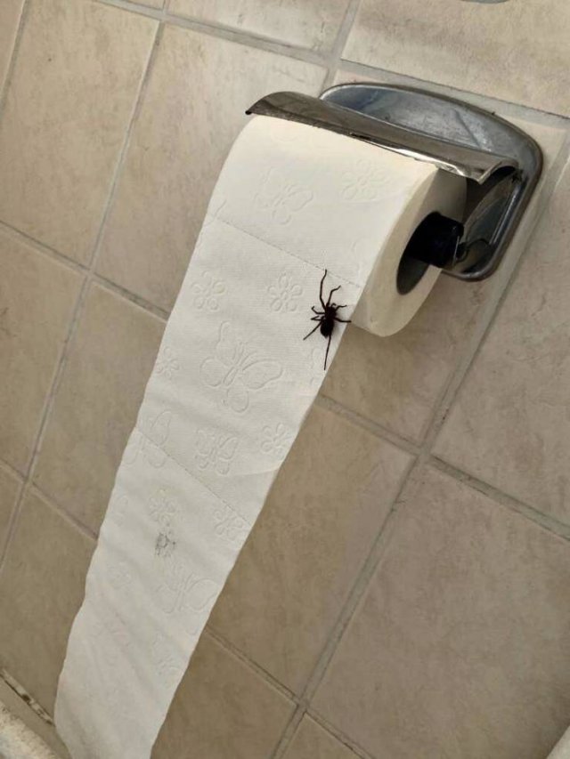 Bad Days Happen (46 pics)