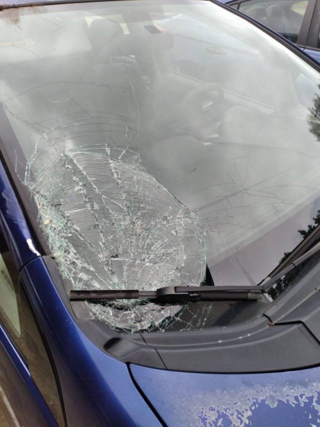 Bad Days Happen (46 pics)