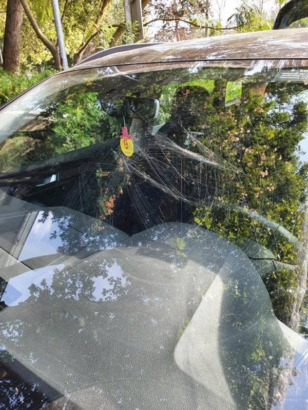 Bad Days Happen (46 pics)
