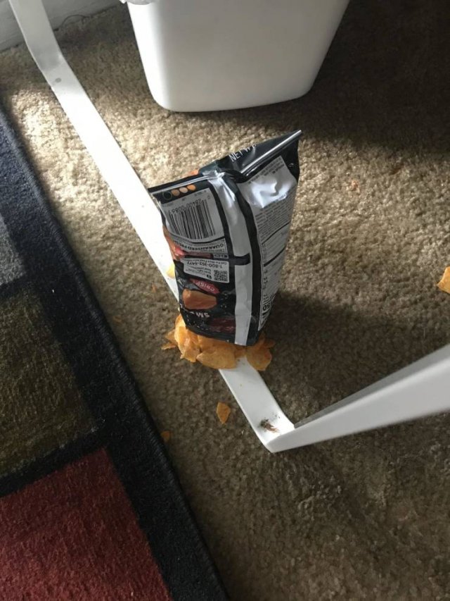 Bad Days Happen (46 pics)