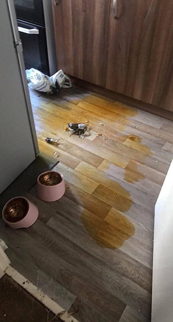 Bad Days Happen (46 pics)
