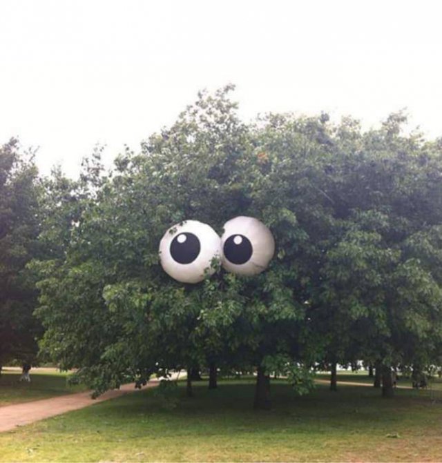 Acid Picdump 2 (91 pics)