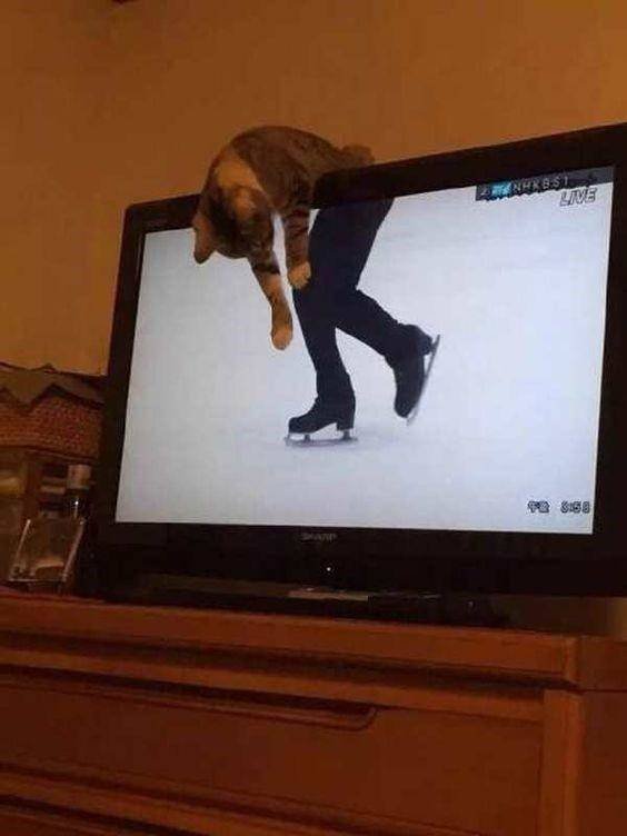 Acid Picdump 2 (91 pics)