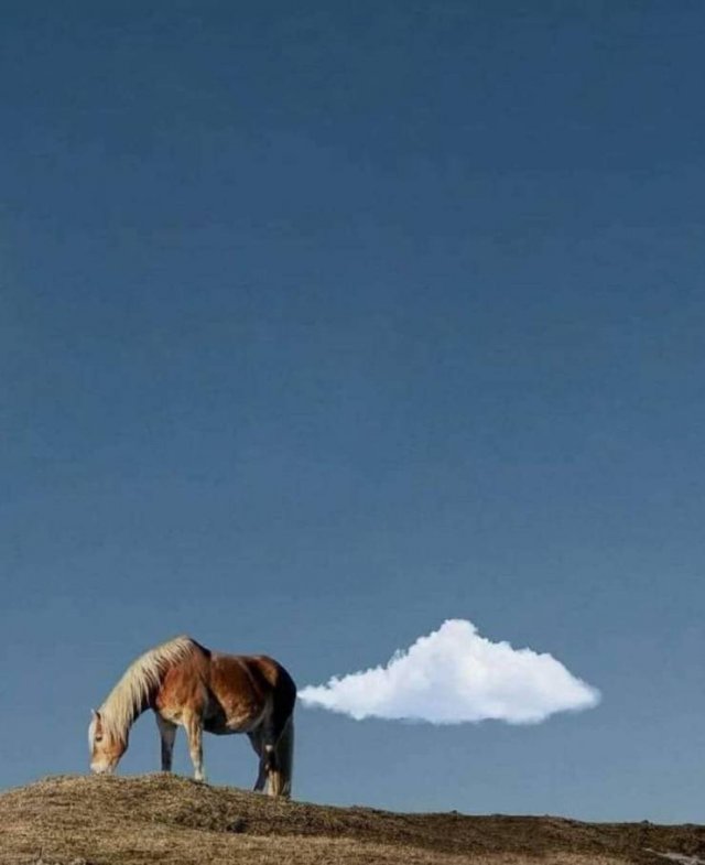 Acid Picdump 2 (91 pics)