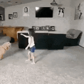 Acid Gifdump, August 9 (25 gifs)