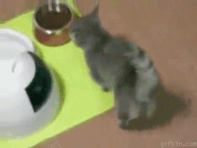 Acid Gifdump, August 9 (25 gifs)