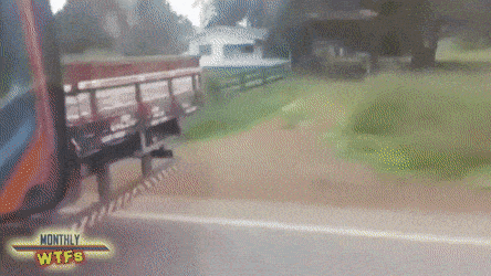 Acid Gifdump, August 9 (25 gifs)