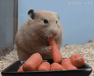 Acid Gifdump, August 9 (25 gifs)