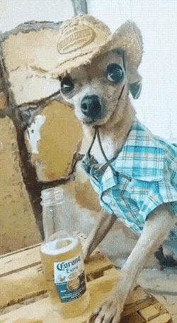 Acid Gifdump, August 9 (25 gifs)