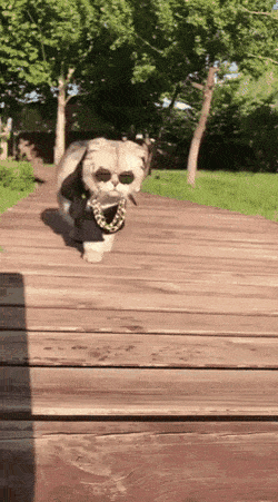 Acid Gifdump, August 9 (25 gifs)