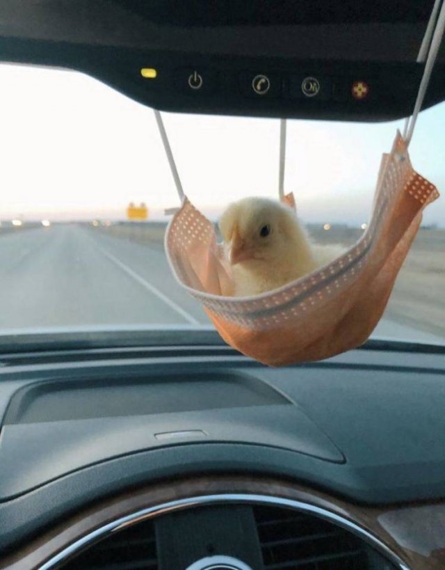Acid Picdump 2 (91 pics)