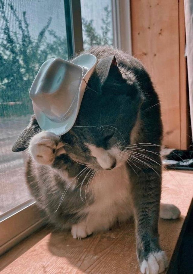 Acid Picdump 2 (91 pics)