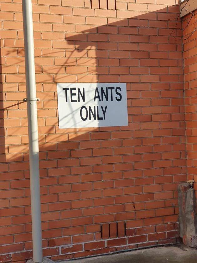 Acid Picdump 1 (49 pics)