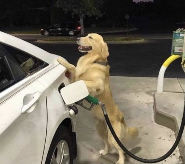 Acid Picdump 1 (49 pics)