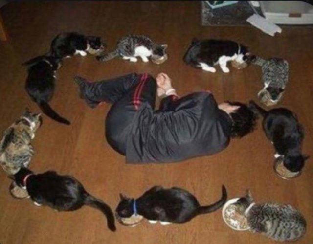 Acid Picdump 1 (49 pics)