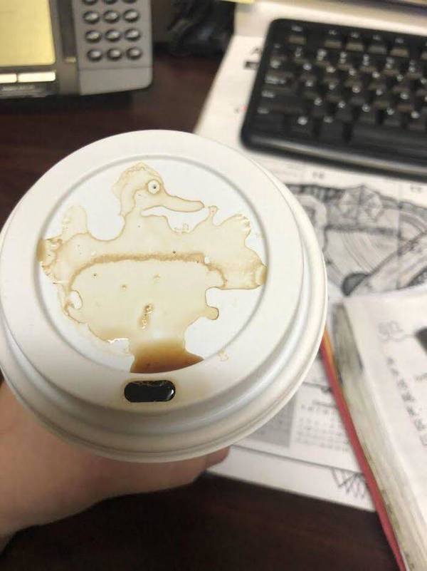 Look Twice (34 pics)
