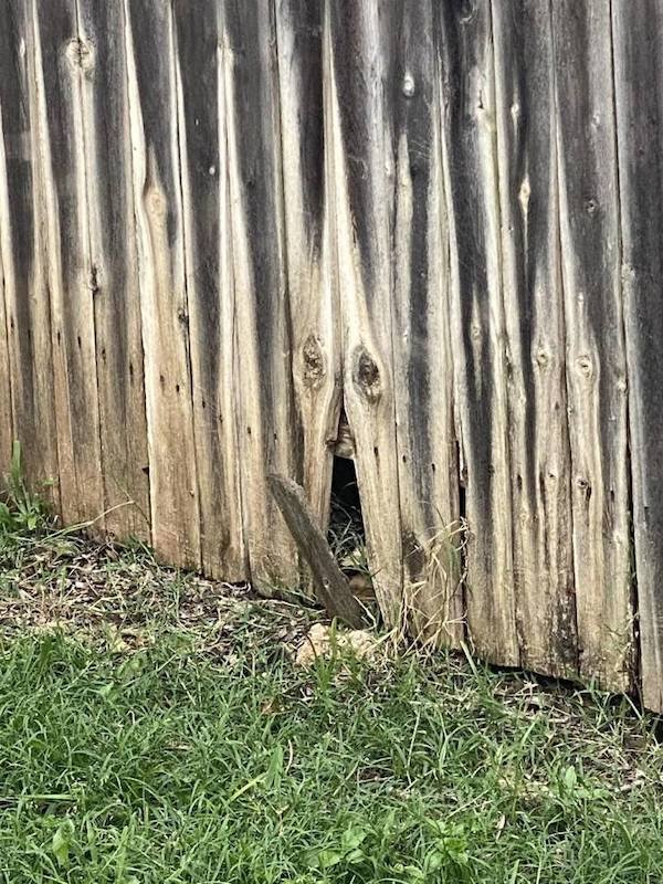 Look Twice (34 pics)