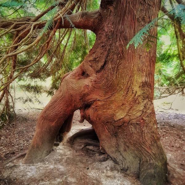 Look Twice (34 pics)