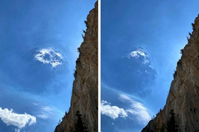 Beautiful World (47 pics)