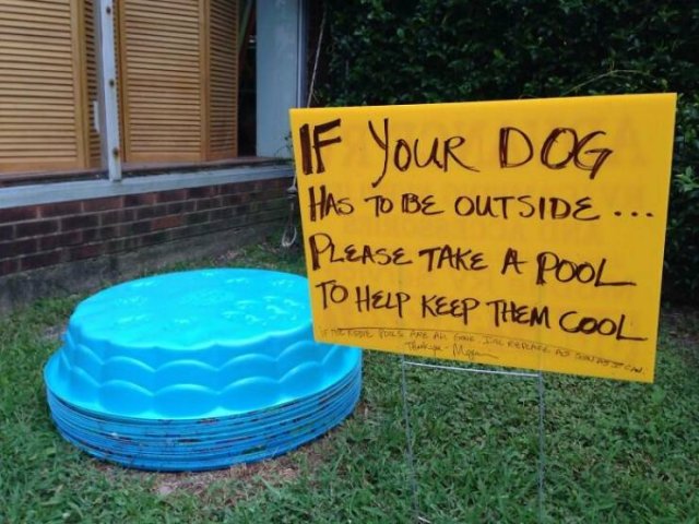 Hot Summer Days (46 pics)