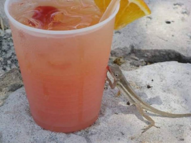 Hot Summer Days (46 pics)