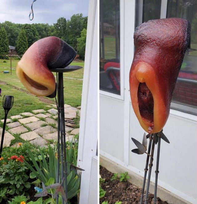 Hot Summer Days (46 pics)