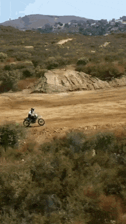 Acid Gifdump, August 10 (25 gifs)