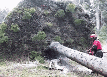 Acid Gifdump, August 10 (25 gifs)