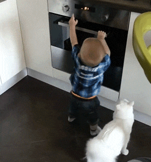 Acid Gifdump, August 10 (25 gifs)
