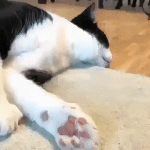 Acid Gifdump, August 10 (25 gifs)
