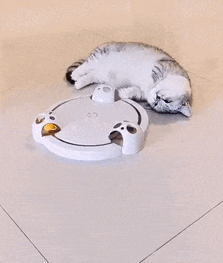 Acid Gifdump, August 10 (25 gifs)