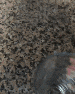 Acid Gifdump, August 10 (25 gifs)