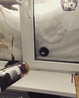 Acid Gifdump, August 10 (25 gifs)