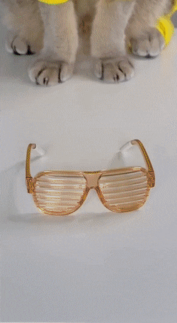 Acid Gifdump, August 10 (25 gifs)
