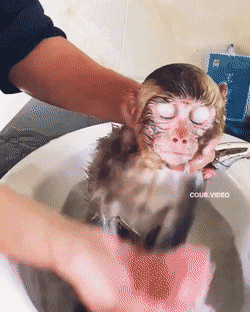 Acid Gifdump, August 10 (25 gifs)