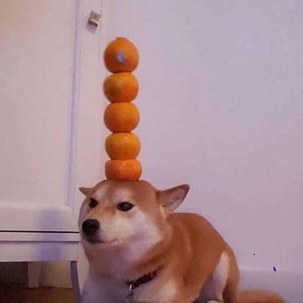 Acid Picdump 2 (89 pics)