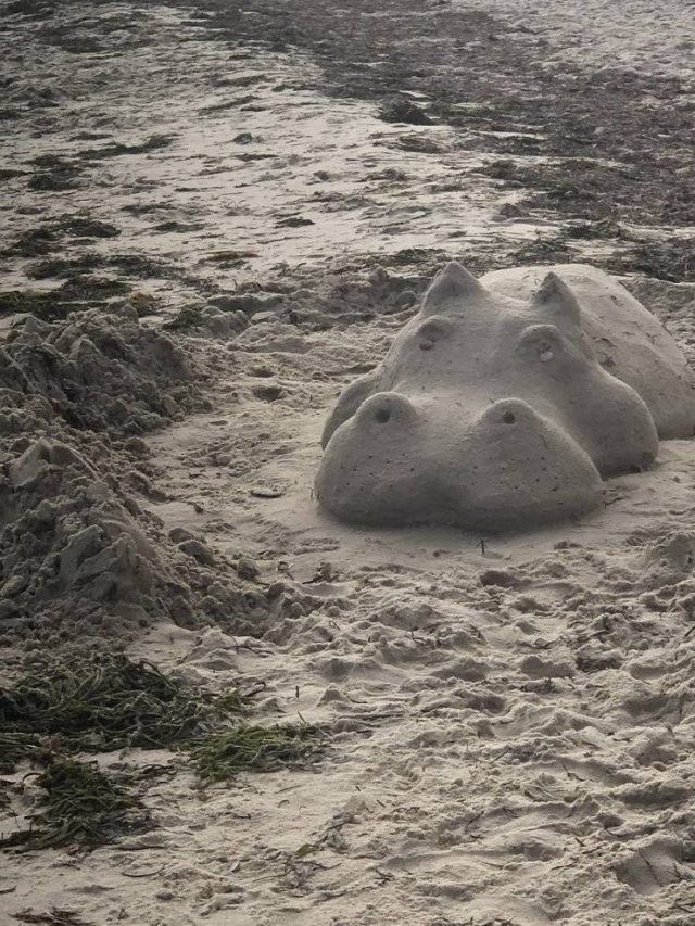 Acid Picdump 2 (89 pics)