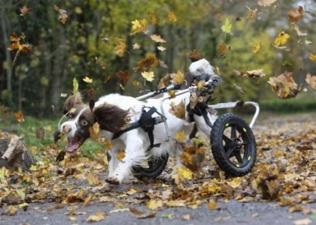 Acid Picdump 1 (90 pics)