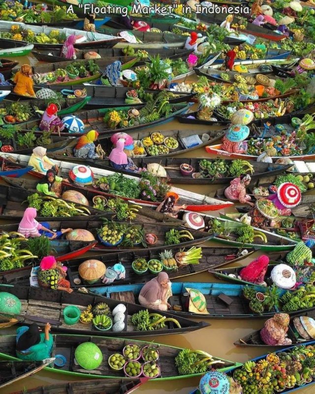 Acid Picdump 2 (89 pics)