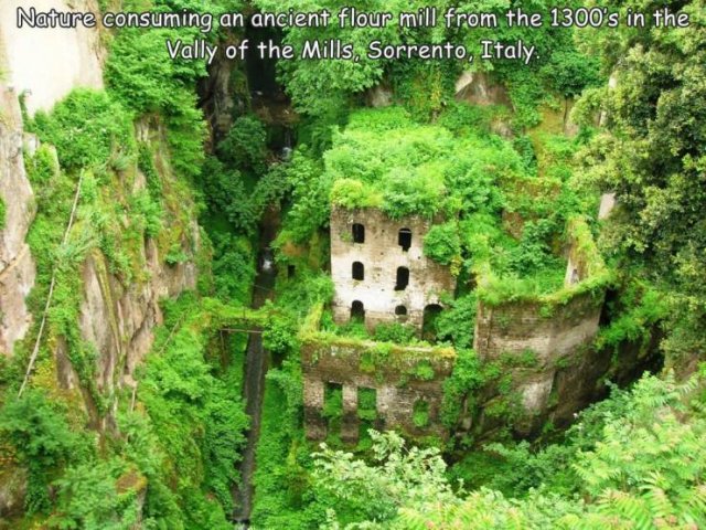 Acid Picdump 1 (90 pics)