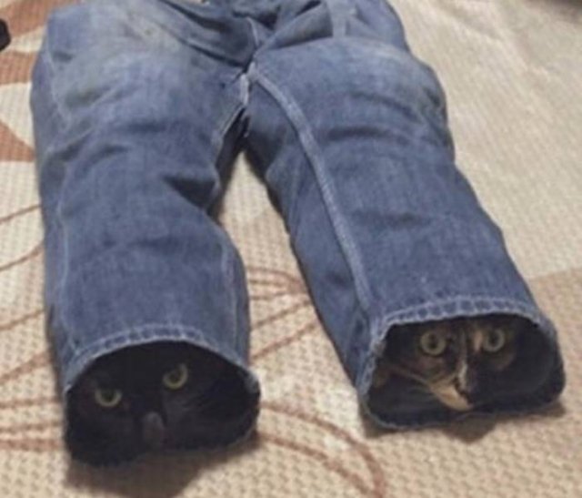 Acid Picdump 2 (89 pics)