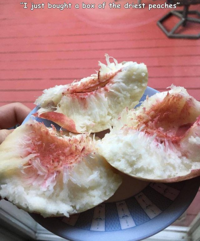 Acid Picdump 1 (90 pics)